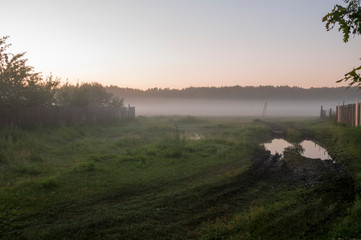 Green meadow in the summer morning with fog. Sunrise