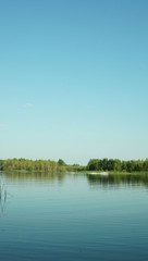 Summer landscape, pond and forest on the horizon.
