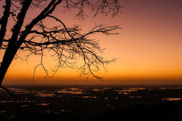 Sunrise with shadows of branches