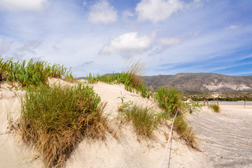 Fototapeta na wymiar Scenery of desert at the reserve zone with plants growing on sand dunes on Elafonisi beach, Greece