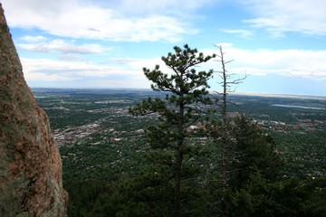 View of the Rocky Mountains in Denver. In the foreground is a tree, in the back are rocky mountains.