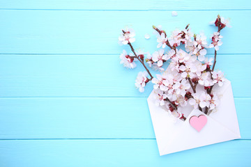 Spring blooming branches in envelope on blue wooden background with copyspace.