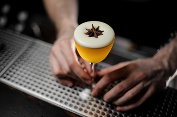 Bartender seving a cocktail with the white foam in the glass decorated with the one anise star standing on the bar counter