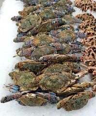 Sea crabs are sold in front of the store.3