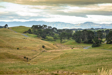 typical rural landscape in New Zealand