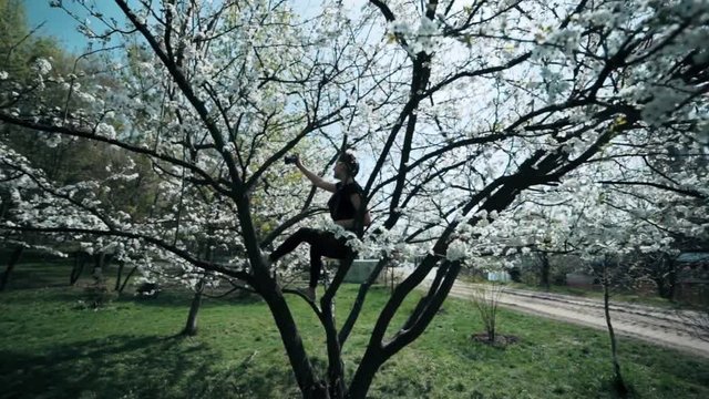 woman make a photo of blossom apple tree in the part at spring.