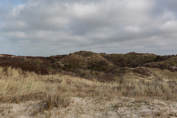 View towards the Dunes at Oostkapelle nearby Domburg / Netherlands