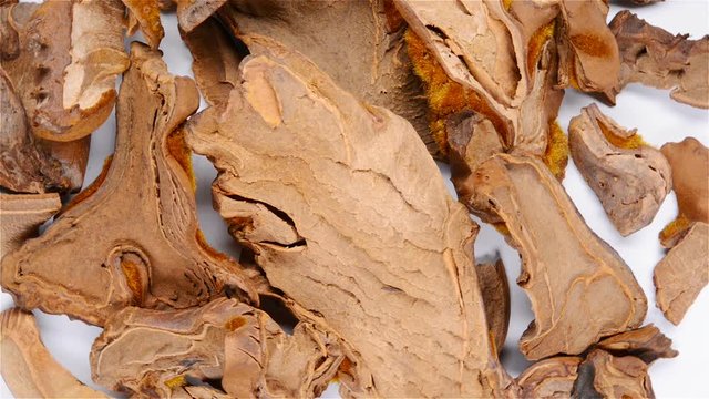 top view Chinese herbs of Cibotii Rhizoma or Rhizome of Scythian Lamb rotate and pause on white