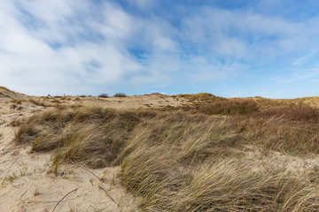 View to Dunes at Oostkapelle on a cold springtime Day / Netherlands