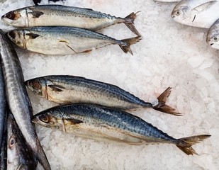  Many fresh sea fish are sold at seafood restaurants.19
