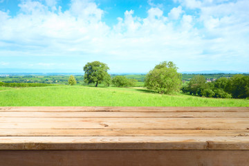 Empty wooden table over summer meadow background