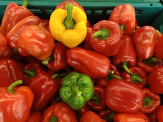 Colorful peppers On the plate to make Thai food33