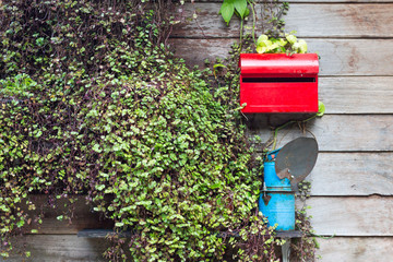 red mailbox on wooden house wall with leaf - 259910886