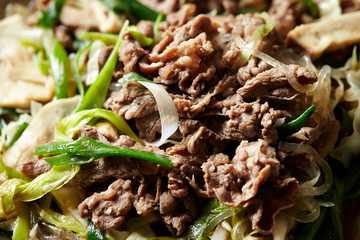 Bulgogi, Korean stir fried beef 