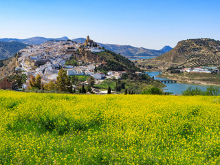 Obraz premium Iznajar town in Andalucia - view from side, wide angle with field of flowers