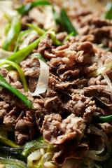 Bulgogi, Korean stir fried beef 