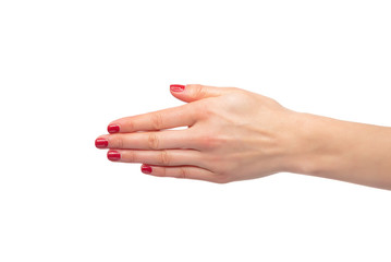 Beautiful female hands on white background.