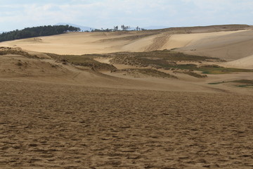 すりばち状の砂丘