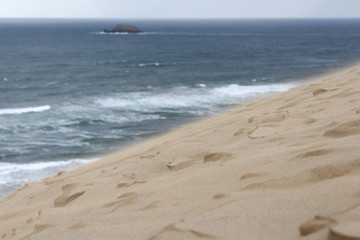 Fototapeta na wymiar 砂丘と海
