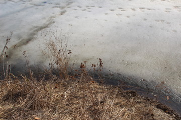 ice melts in the river in early spring