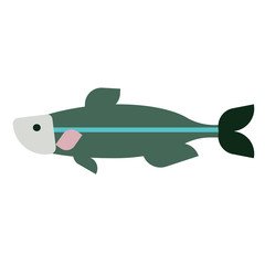 Green fish flat illustration on white