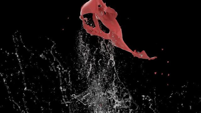 A balloon with water inside explodes in slow motion
