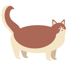 Brown cat flat illustration on white