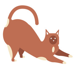 Brown cat flat illustration on white