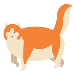 Red cat flat illustration on white