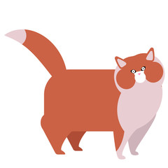 Red cat flat illustration on white