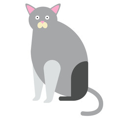 Grey cat flat illustration on white