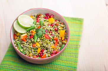 sprouted lentil salad