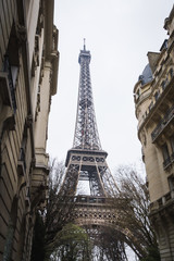 The Eiffel Tower behind the buildings of Paris - Paris, France