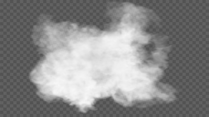 Fototapeta Transparent special effect stands out with fog or smoke. White cloud vector, fog or smog obraz