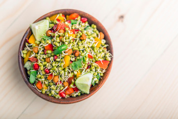 sprouted lentil salad