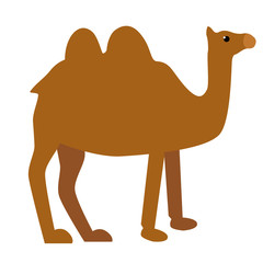 camel flat illustration on white