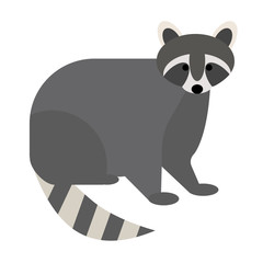raccoon flat illustration on white