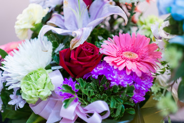 selective focus colour flower.