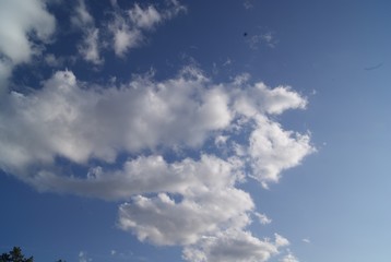 Cloudy Day