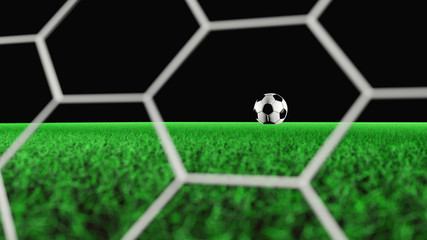 Soccer ball on field grass