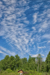 Clouds on the blue sky over the forest at summer