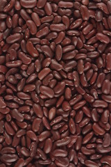 Alubia morada larga, composición macro