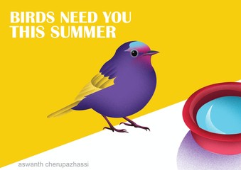 save birds in summer 