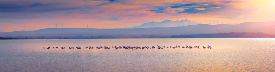 Mont Canigou,Occitanie depuis Le Salin de La Palme,Occitanie.