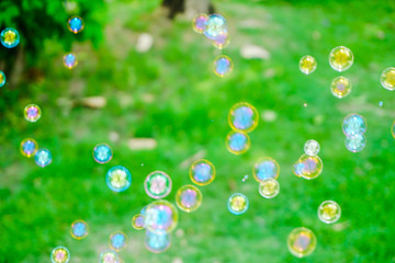 the nature soap bubble texture background and wallpaper