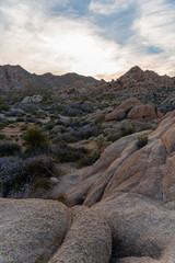 Fototapeta na wymiar Rocky desert landscape of California's Joshua Tree National Park