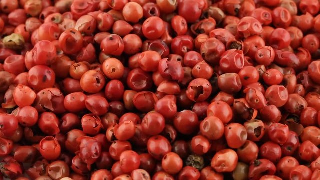 Pile of rose or brazilian peppercorns rotating close up view - rose or brazilian pepper is used as seasoning in the kitchen