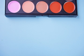Professional cosmetic. Cream concealer in a palette. Copy space.