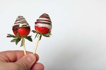 Strawberries glazed in black and white chocolate. Dressed on wooden sticks. A man holds them in his hand. On a white background.