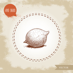 Fresh macadamia nut. Hand drawn sketch style vector illustration on old background. Food and cosmetic oil ingredient drawing. Freshly ripped fruit.